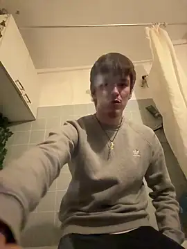 Toyjungee webcam