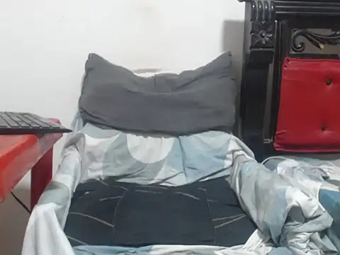 bull_blackponse webcam
