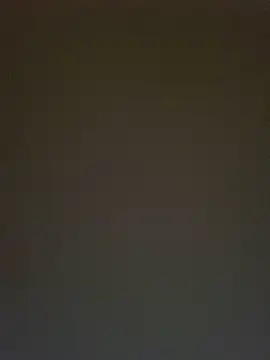 TheDime webcam