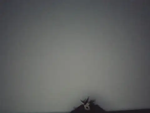 fallendevil - FallenDevil's free webcam - UK Sex Cams