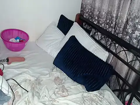 Whimsicalwillow webcam