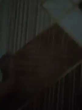 EgyptianHorse webcam