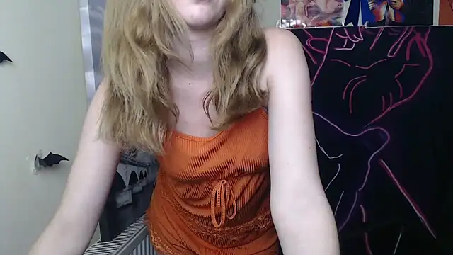 StellaCRL webcam