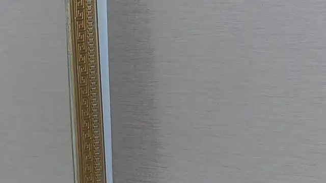 FoxyJoy webcam