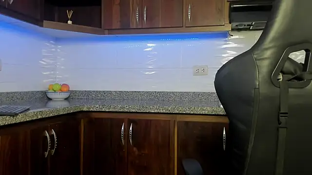 LexSin17 webcam