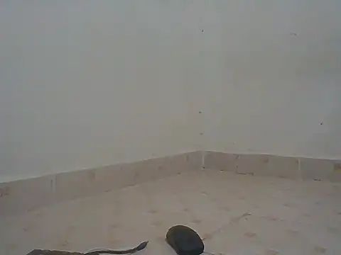 missvivian webcam