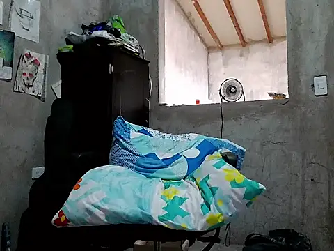 dirty_model webcam