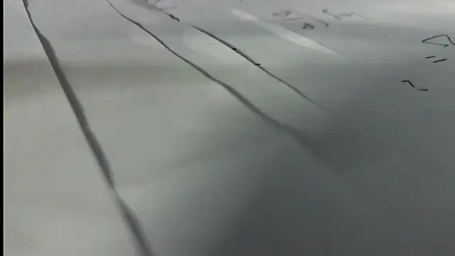 hairyandtiny webcam