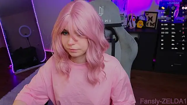 zelda_1 webcam