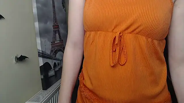 StellaCRL webcam
