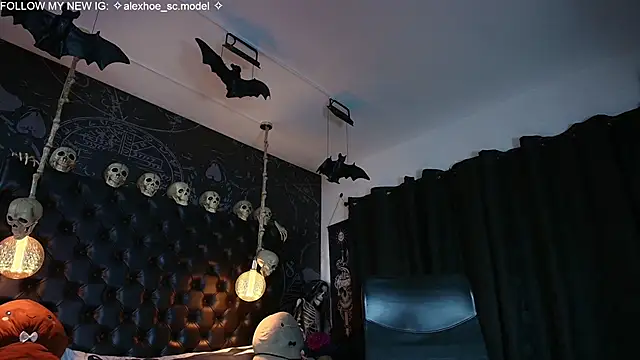 AlexHoe_ webcam