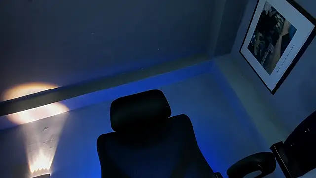 Travtanner webcam
