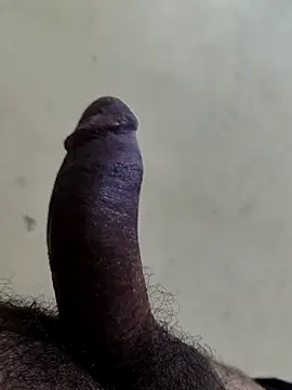 alkhabiir webcam