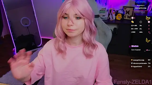 zelda_1 webcam