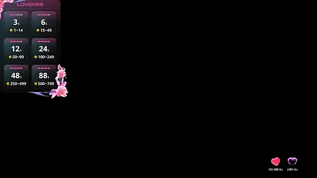 ValeriaGallardo_Pv webcam