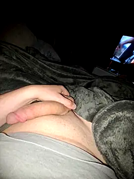swissdick96 webcam