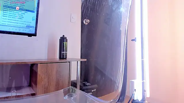 ZaraVesari webcam