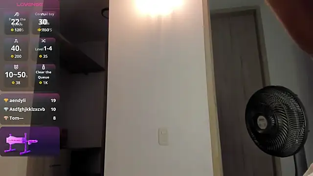 Blum_icee webcam
