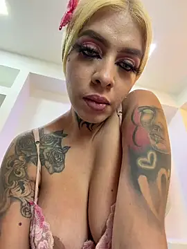 TRIOGOALS3 webcam