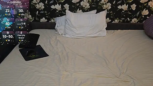 Vuitton webcam