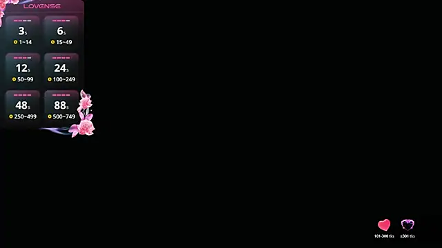 ValeriaGallardo_Pv webcam
