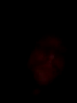 2Pietro3 webcam
