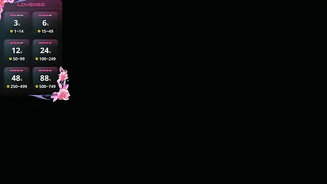 ValeriaGallardo_Pv webcam