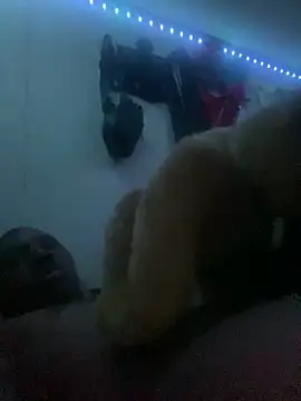 Bigcock127 webcam