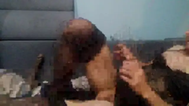 chceciedalsiebie webcam