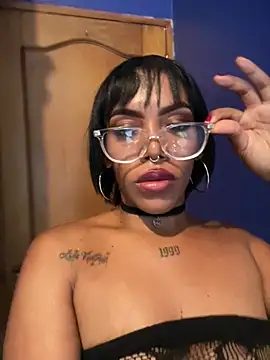NovaFoxx webcam