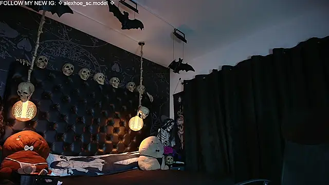 AlexHoe_ webcam