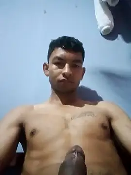 averth webcam
