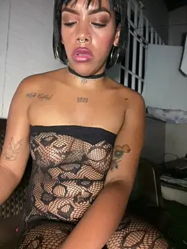NovaFoxx webcam