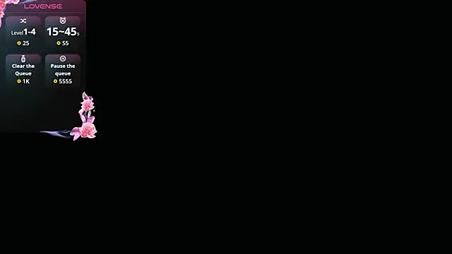 ValeriaGallardo_Pv webcam