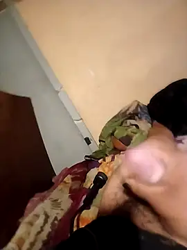beliqi webcam