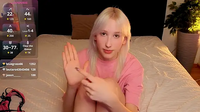 evlica webcam
