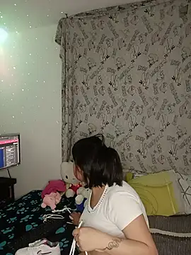 _juli17_ webcam