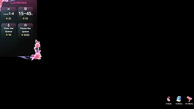 ValeriaGallardo_Pv webcam