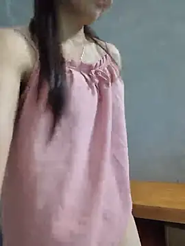 Vanvan68xx webcam