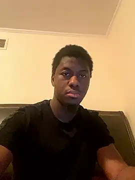 ThickDic28 webcam