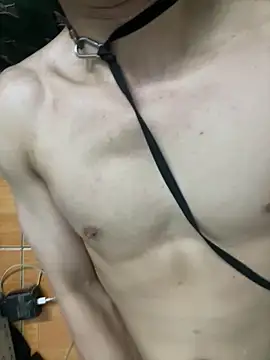 dogslavehf webcam