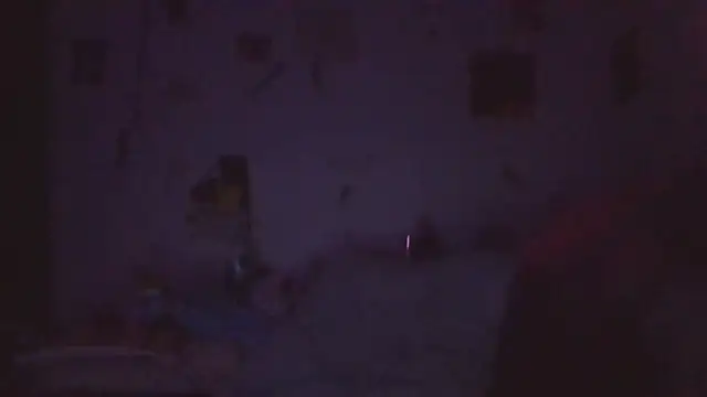 paradisejas webcam