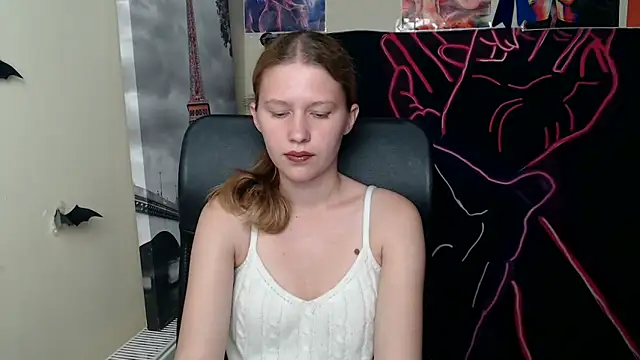 StellaCRL webcam