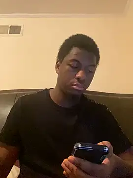 ThickDic28 webcam