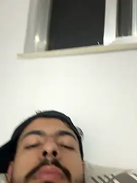 artzin2334 webcam