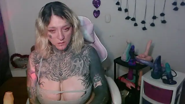 SLOPPYTITSS webcam