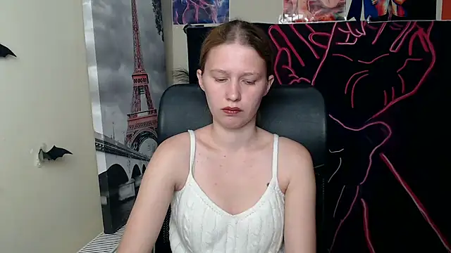 StellaCRL webcam