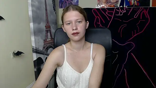 StellaCRL webcam