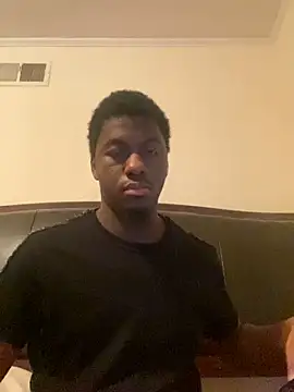 ThickDic28 webcam