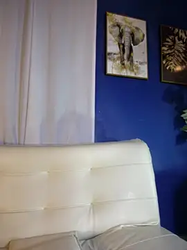 NovaFoxx webcam